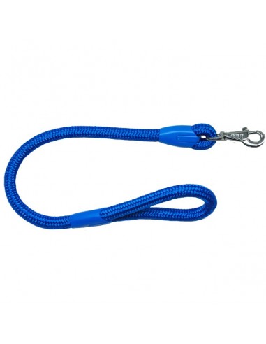 Correa para perro cordón tipo cuerda gruesa azul
