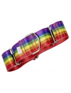 collar galgo martingale arco iris
