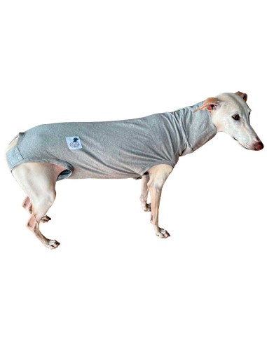 camiseta-protectora-perro