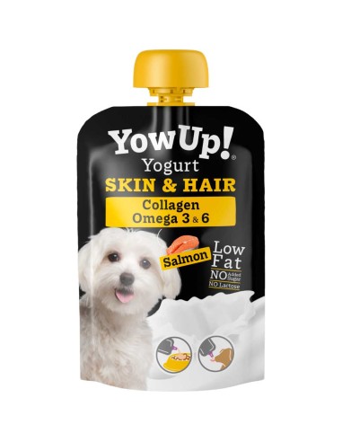 yogur-perro-skin-hair